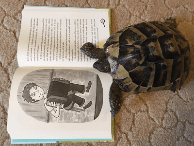 želva čtenářka čte knížku Já a Anastázie